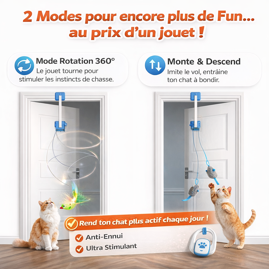 CatSwing™ – Jouet Automatique  pour Chat