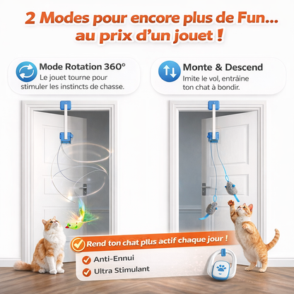 CatSwing™ – Jouet Automatique  pour Chat
