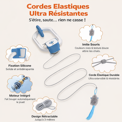 CatSwing™ – Jouet Automatique  pour Chat