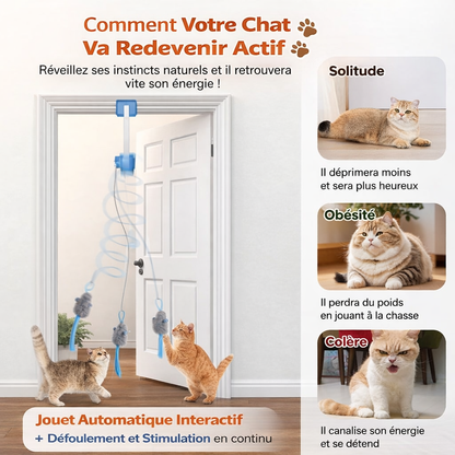 CatSwing™ – Jouet Automatique  pour Chat